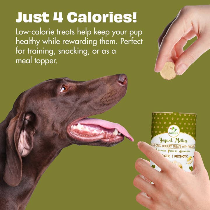 Pawfect Foods – wholesale Pet treats – Dog – Pawfect Yogurt Melties Prebiotic and Probiotic Dog Treats: Pineapple & Yogurt (38g/1.34oz)