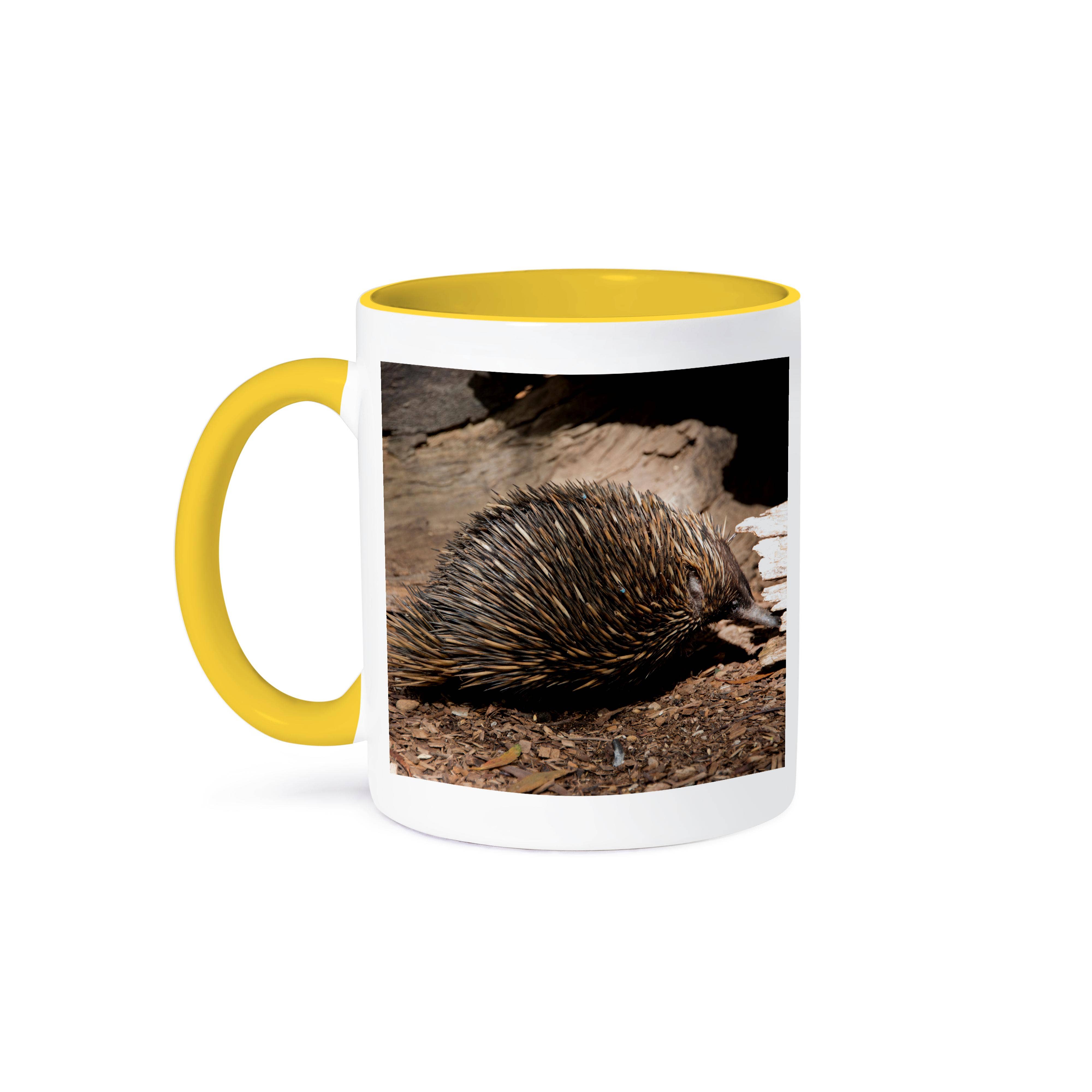 3dRose - Wholesale Coffee Mug - 3dRose, Australia, Adelaide. Cleland Wildlife Park. Echidna., Mug0