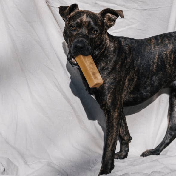 Yak9 Chews - Wholesale Pet Treats - Dog - Yak9 - Yak and Cow Milk Chews for Dogs - Large 8oz