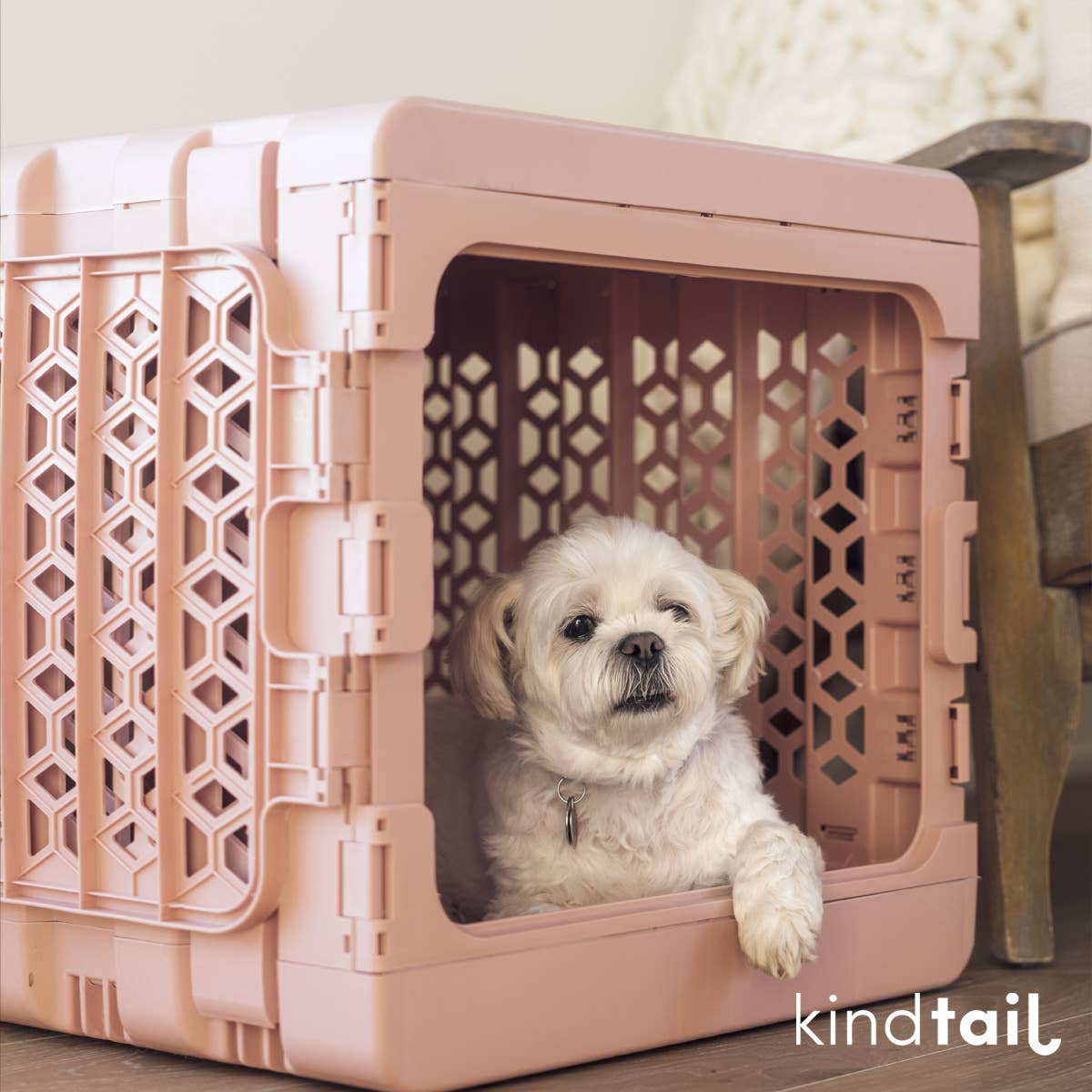 KindTail - Wholesale Pet Carrier - Dog - Medium Pawd® | Modern Collapsible Plastic Dog & Pet Crate12