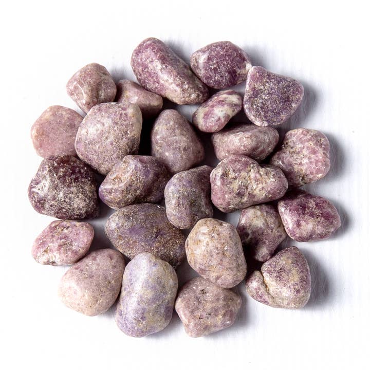 Tree of Life Gems - Wholesale Spiritual Stone/Crystal - Medium Tumbled Lepidolite1