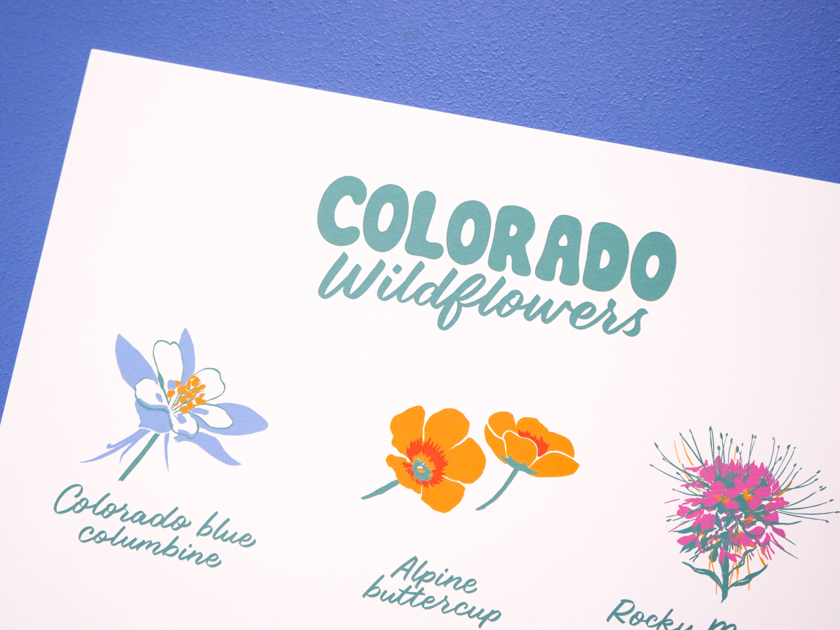 Little Known Goods - Wholesale Art Print - Colorado Wildflowers Print6