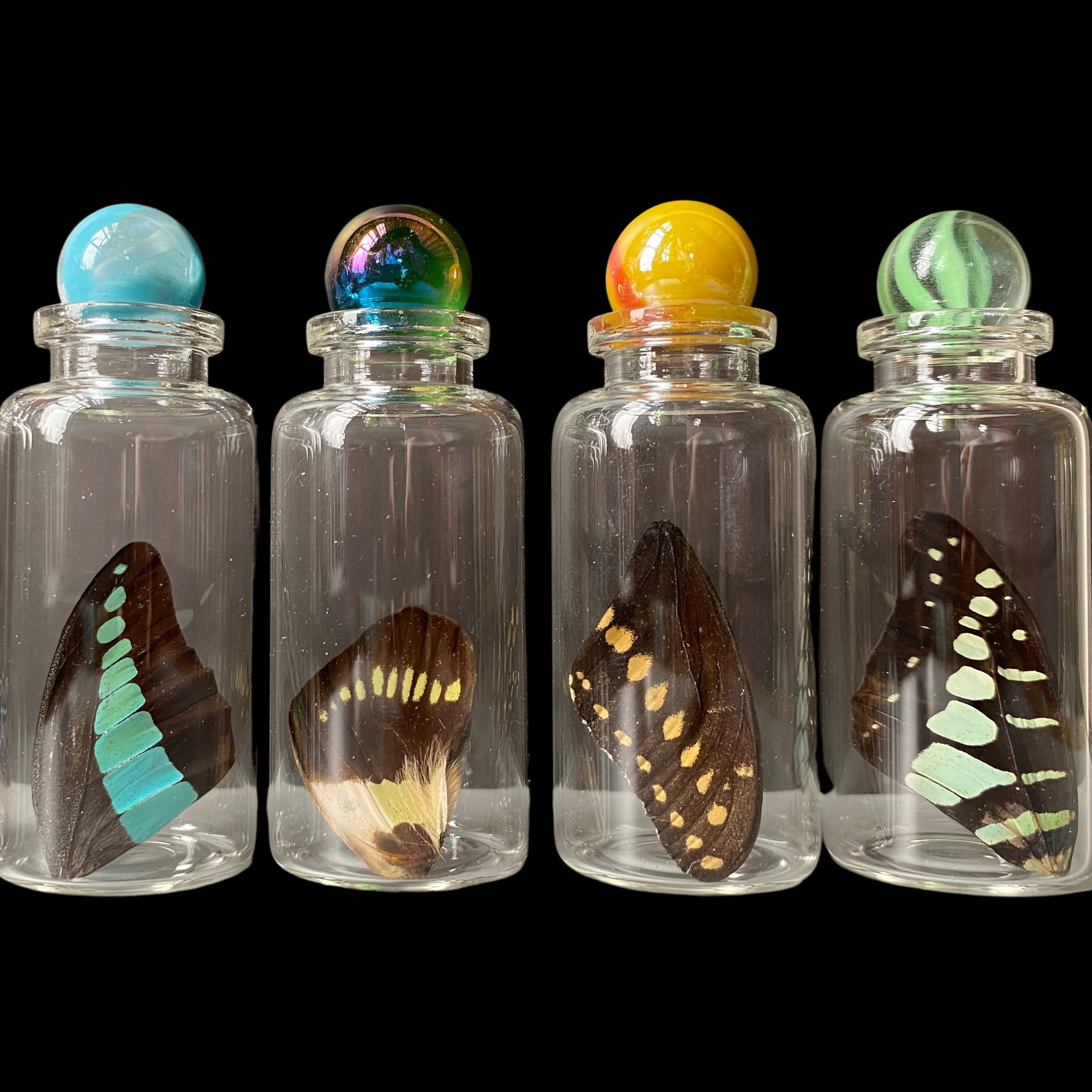 Isms - Wholesale Decorative Tabletop Object - Real Standard Butterfly Wing in Glass Bottle11