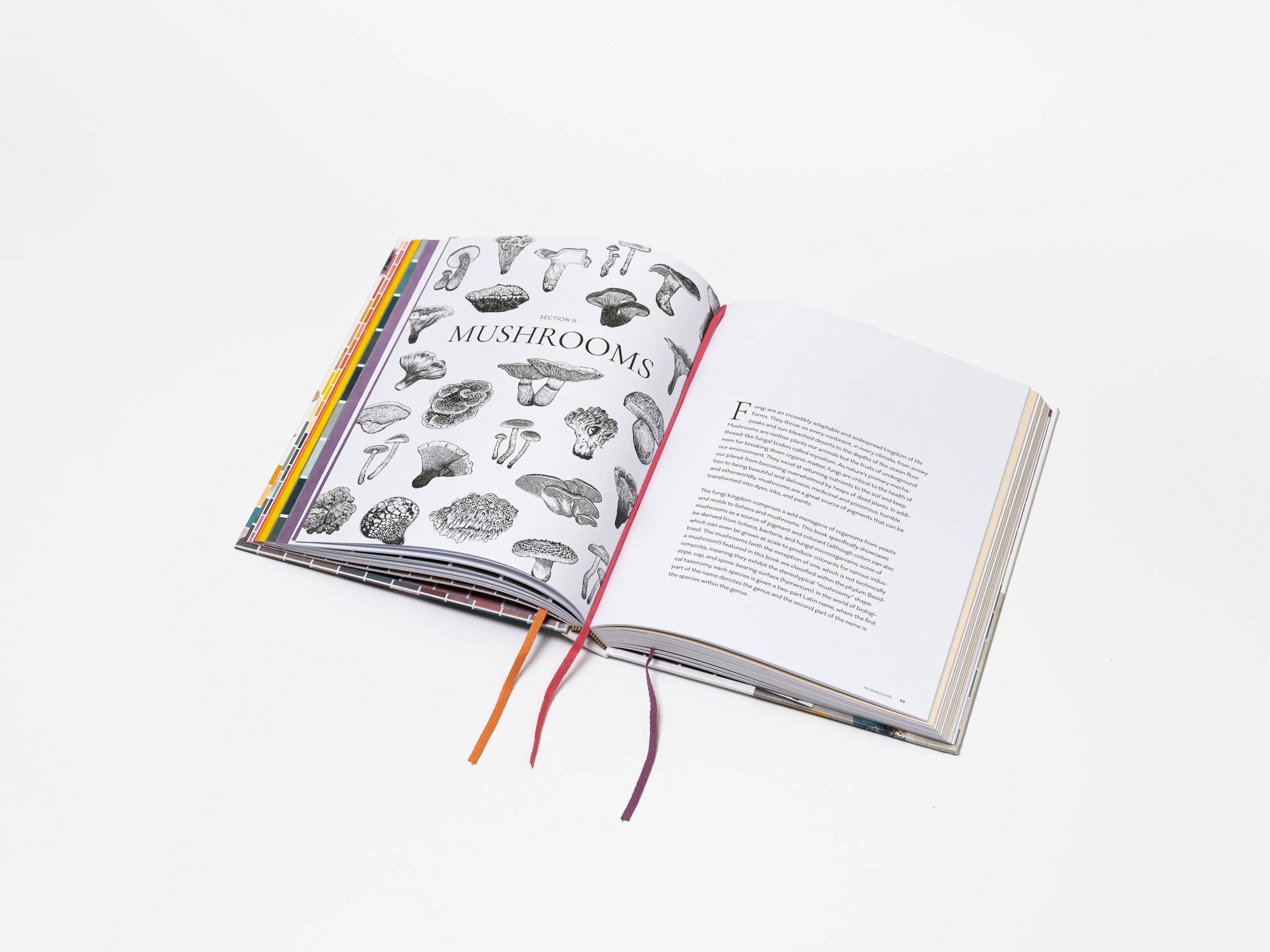 Chronicle Books - Wholesale Nature & Outdoors - Mushroom Color Atlas2