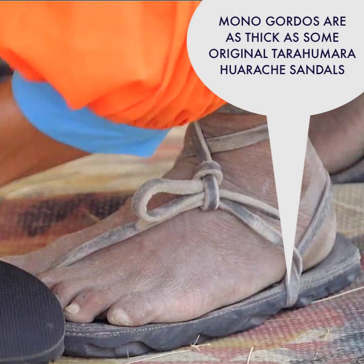 LUNA Sandals - Venta al por mayor Sandalias - Hombre - Mono Gordo Winged Edition - Desert Canyon