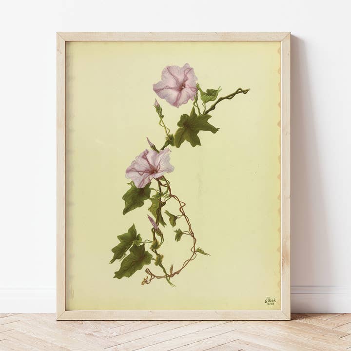 Vintage Flowers Print for wholesale by The Galek Sea