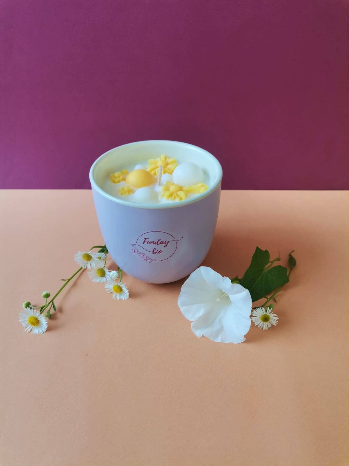 FUNDAYBIO - Vendita all'ingrosso Candela in vasetto - Candela Energy con oli essenziali biologici 250 g2