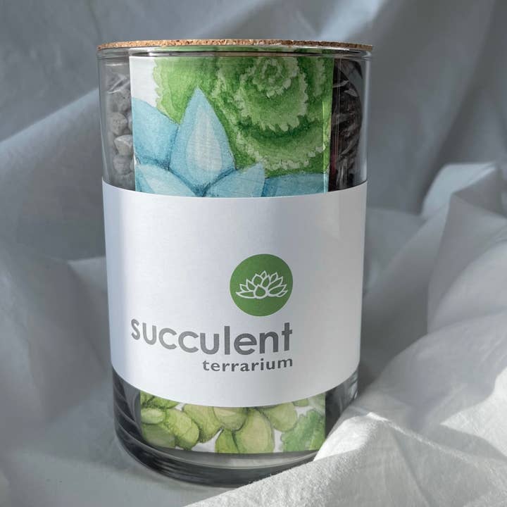 NEW Succulent Terrarium | friendship gift for wholesale by Potting Shed Creations, Ltd.