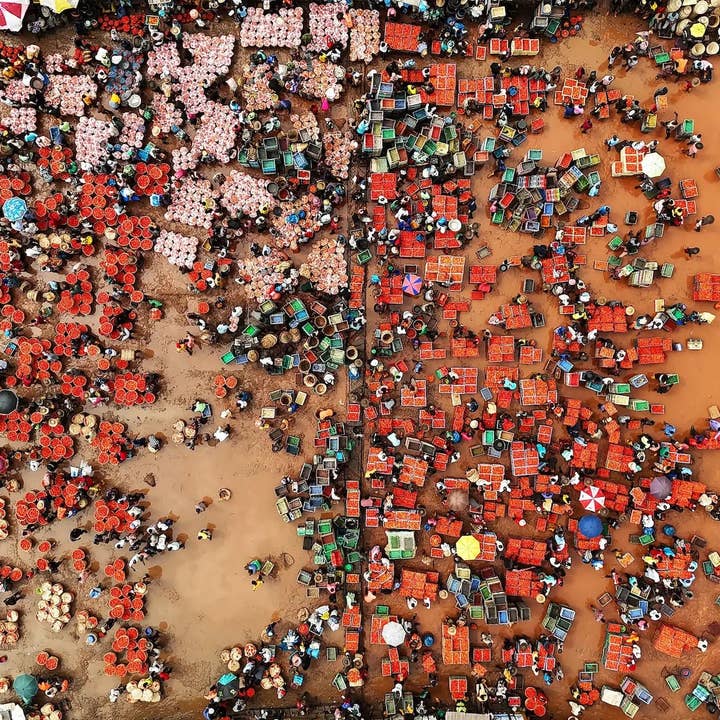 Market Waka for wholesale by Rhythm & Hues