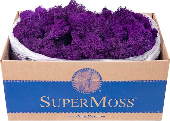 SuperMoss - Wholesale Dried/Pressed Flowers - Reindeer Moss Preserved 3lb Bulk Box9
