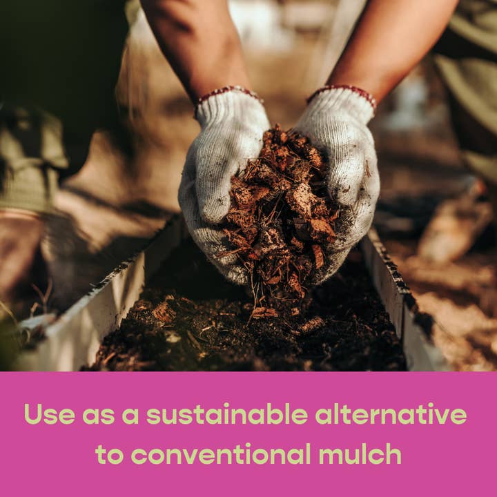 Southside. - Wholesale Planting/Potting Soil - Coco Chip - Chunky Coconut Husk for Houseplant Soil Aeration4