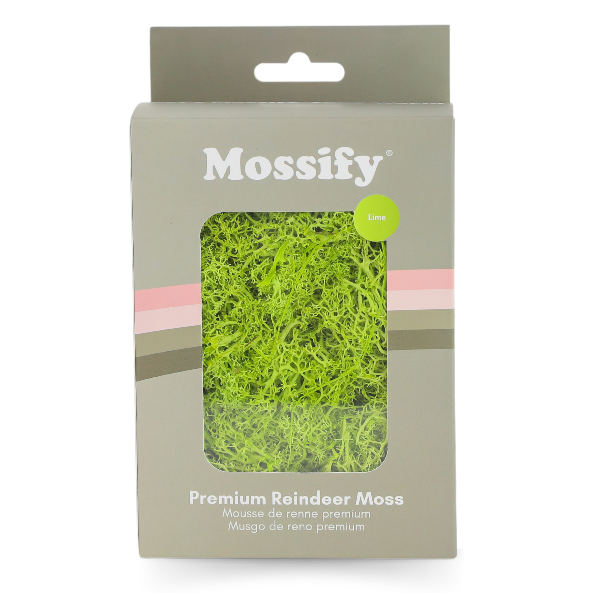 Mossify - Wholesale Live Plant - Premium Preserved Reindeer Moss – Colorful Decorative Mix11