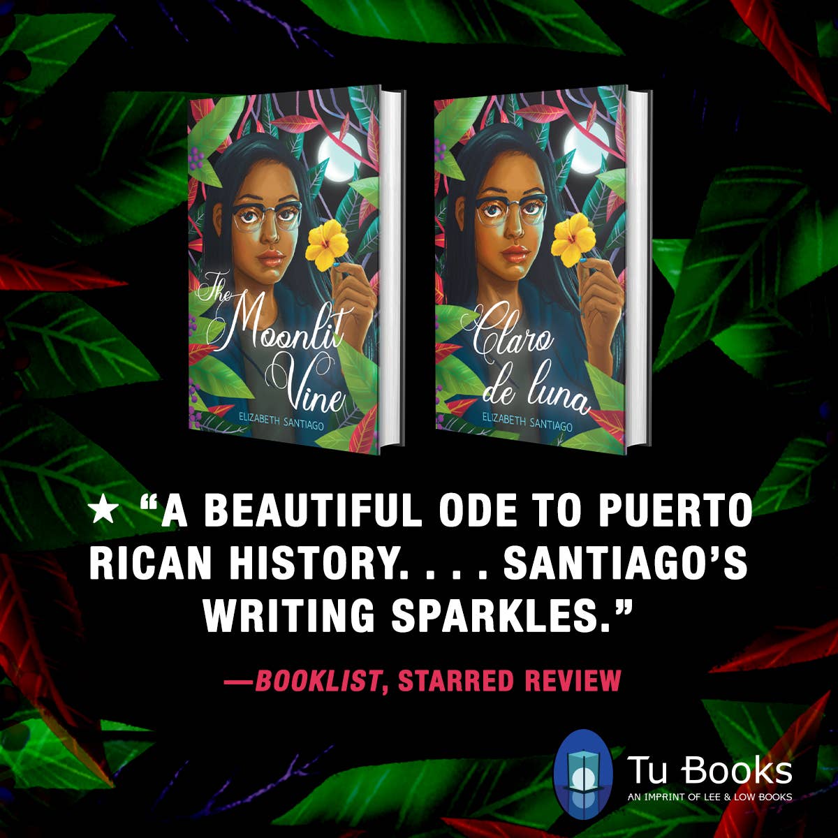 Lee & Low Books Inc - Wholesale Teen & Young Adult Book - Claro de luna (The Moonlit Vine) by Elizabeth Santiago6