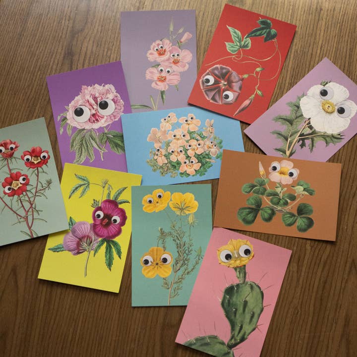 Stay Home Club - Wholesale Postcard Set - Googly Botany - 20 Postcard Pack3