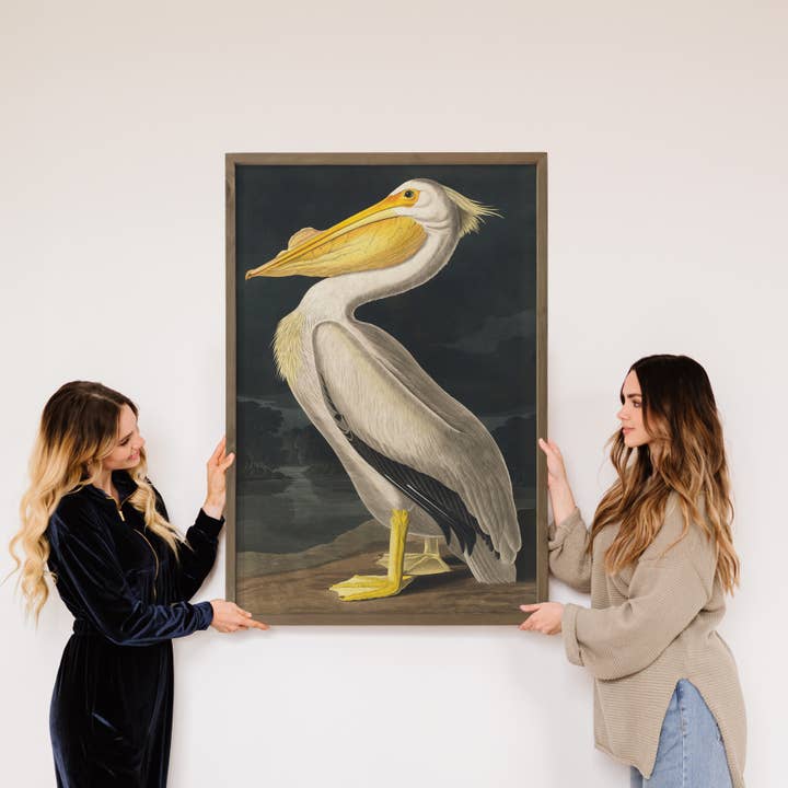 Hangout Home - Wholesale Art Print - Audubon Pelican - Lake House Wall Art - Framed Art Print