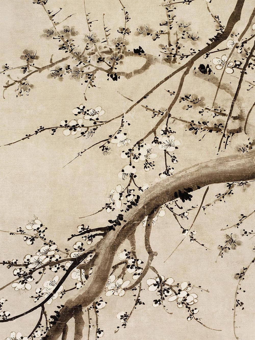 Modern Antique Prints – Engroshandel Kunsttryk – Kirsebærblomster – Chinoiserie Kunsttryk3