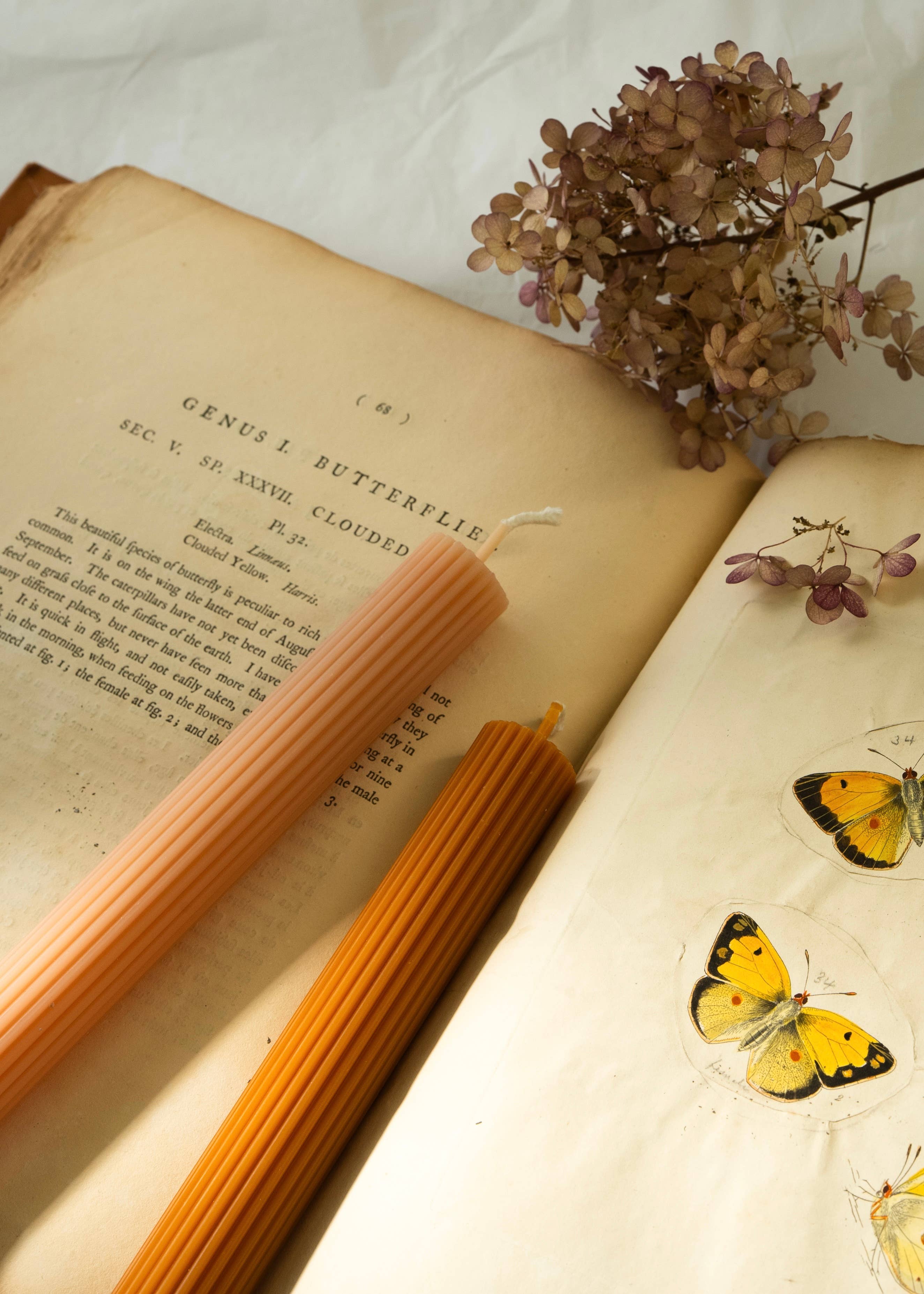 ZOETSTUDIO - Wholesale Tapered Candle/Candlestick - Ribbed Thick Taper | Beeswax & Soy Wax10