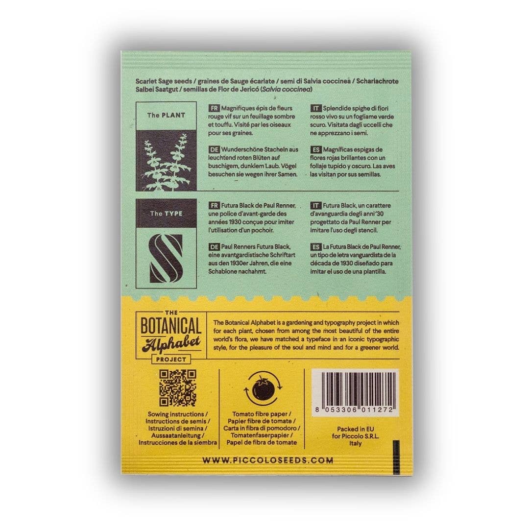 Piccolo Seeds - Wholesale Zaadjes voor platten - S - Scharlaken salie1