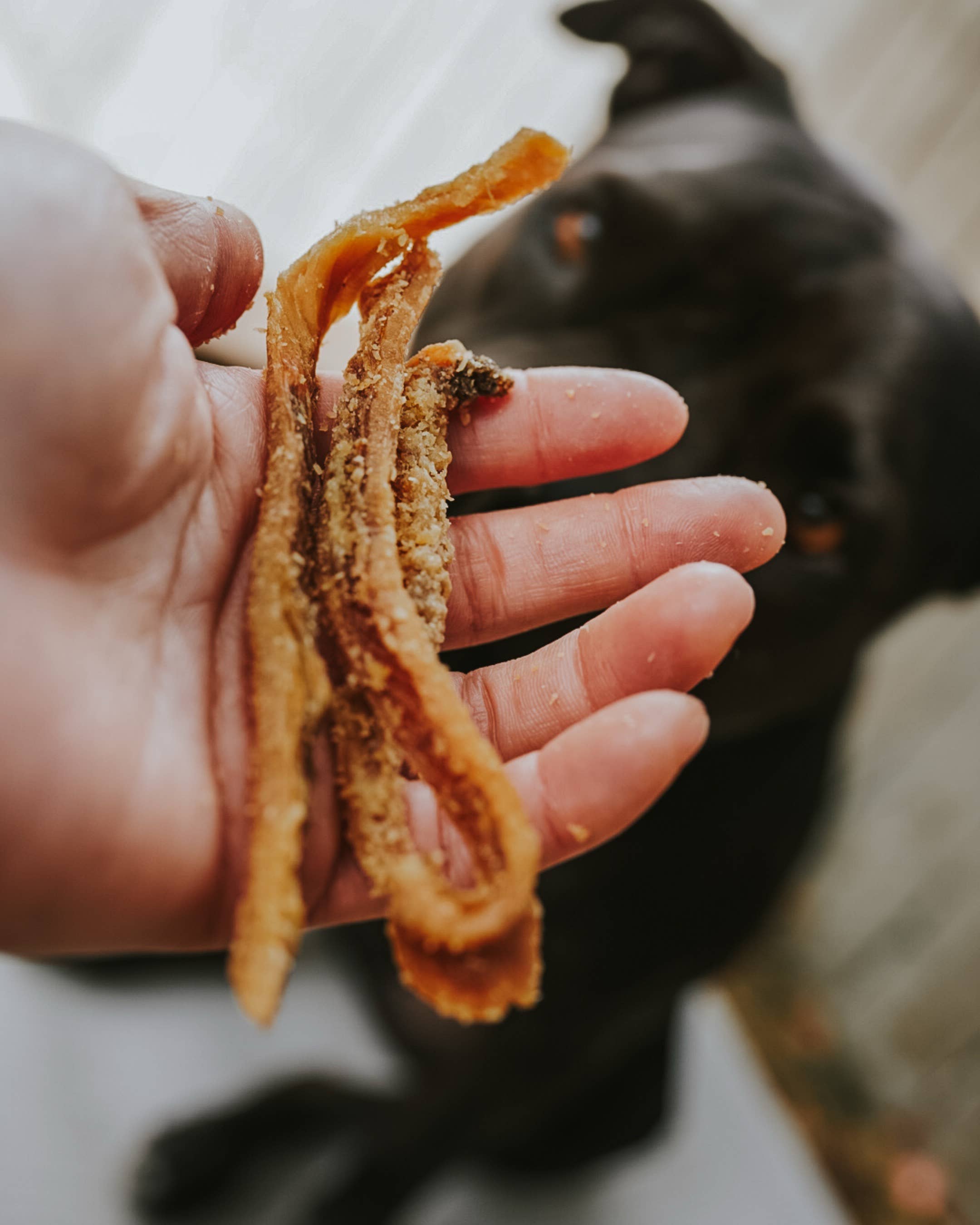 Litto Howler – wholesale Pet treats – Dog – Bison Green Tripe | 3 oz  1