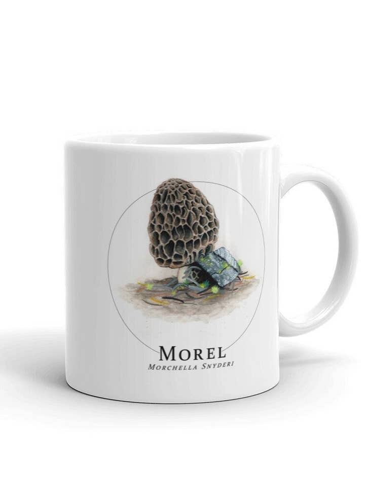 Morel Mushroom Coffee Tea Mug for wholesale by Sword Fern Studios