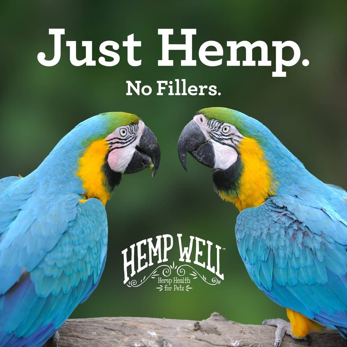 Hemp Well - Wholesale Pet Food - Not Cat/Dog - Hemp Well Bird Hemp Hearts2