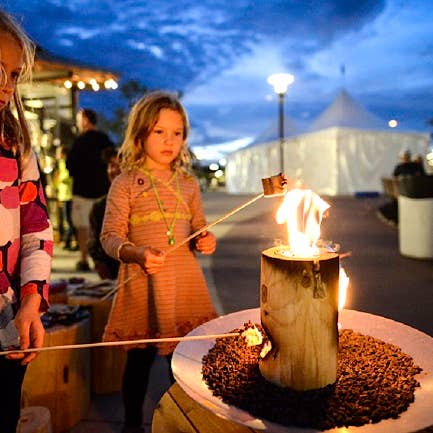 OneLogFire - Wholesale Fire Pit - Mini Onelogfire 12-Logs per case 1-Hour burn time