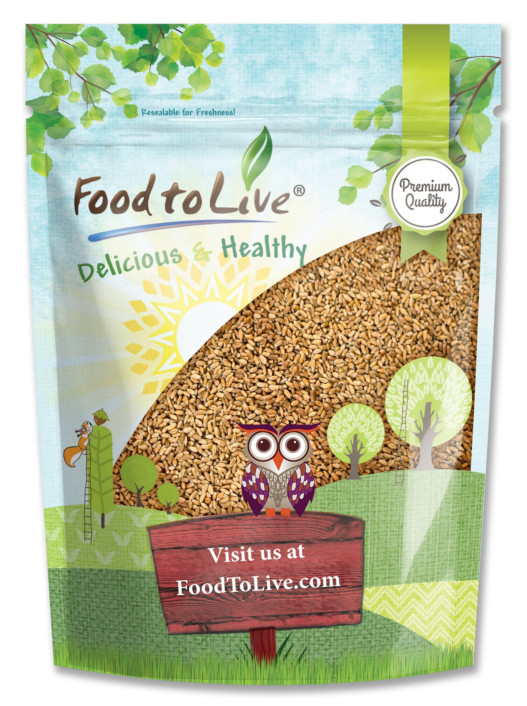 Food To Live - Wholesale Plant Seeds - Wheat Berries — Sprouting for Wheatgrass, Kosher, Raw, Vegan0