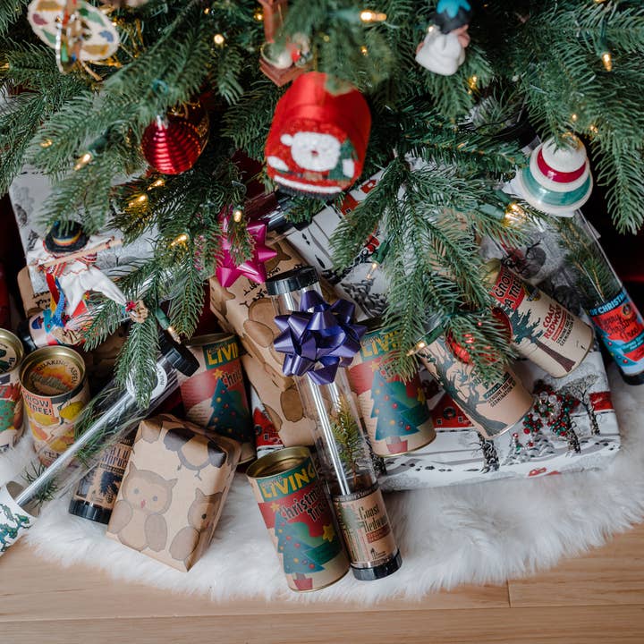 The Jonsteen Company - Wholesale Retailer Display - Home & Living - Living Christmas Case Pack | 12 Grow Kits w/ Display7