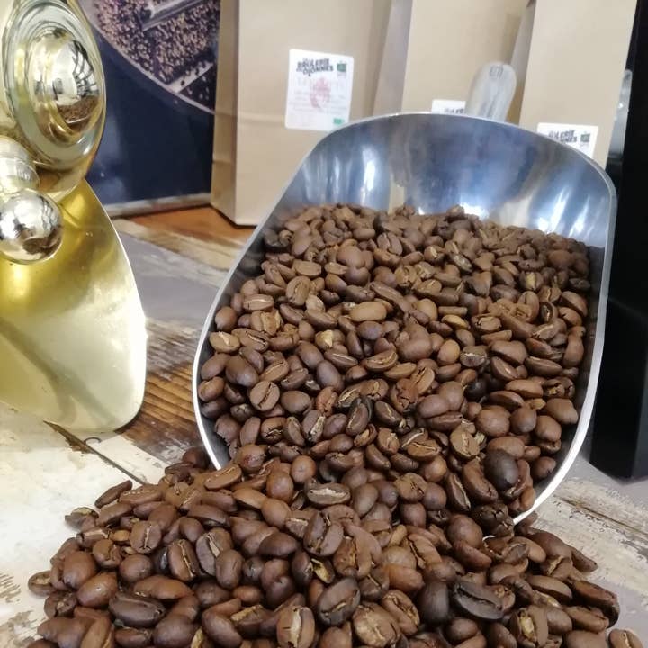 La Brûlerie Des Olonnes – wholesale Coffee beans – Ethiopia - Lekempti Organic - 1 kg Beans