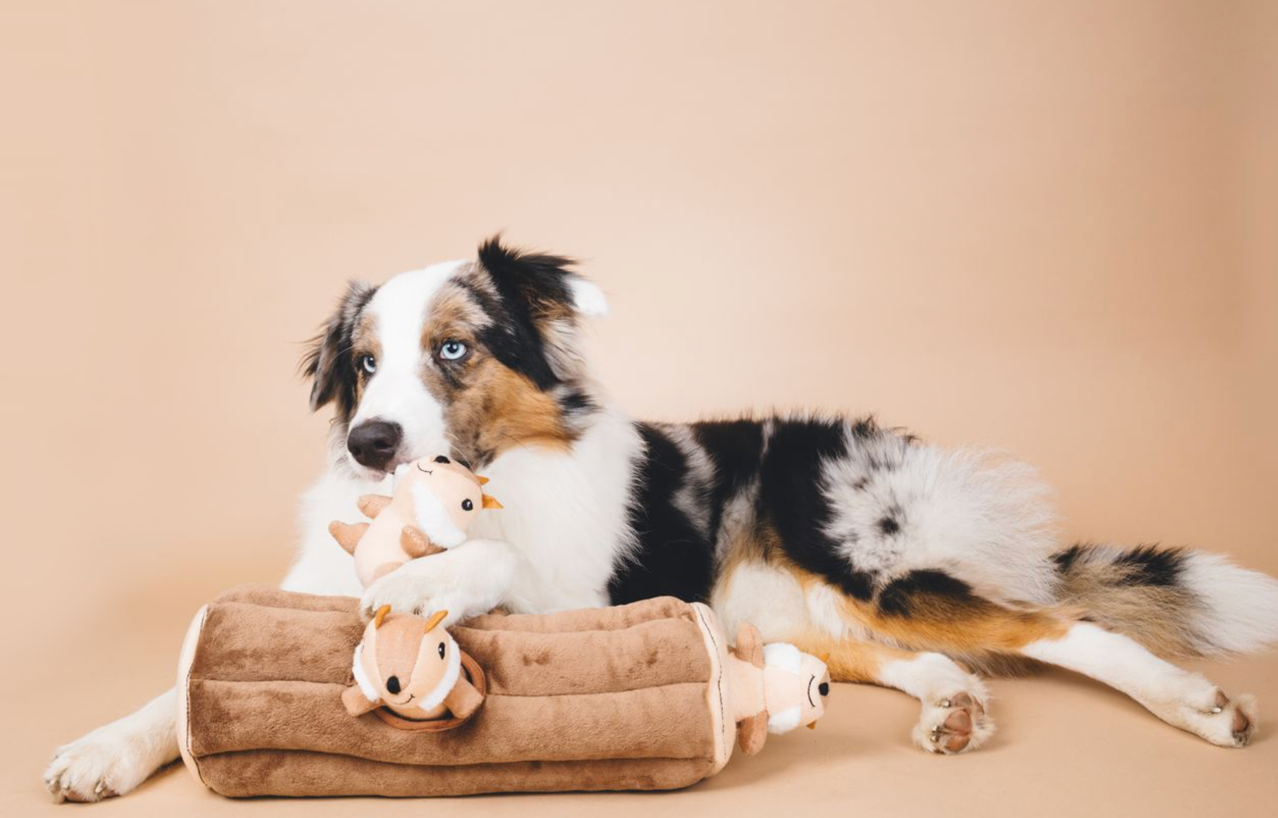 ZippyPaws - Vente Peluche – chien - Zippy Burrow - Jouet pour chien « bûche » avec 3 tamias couinants3