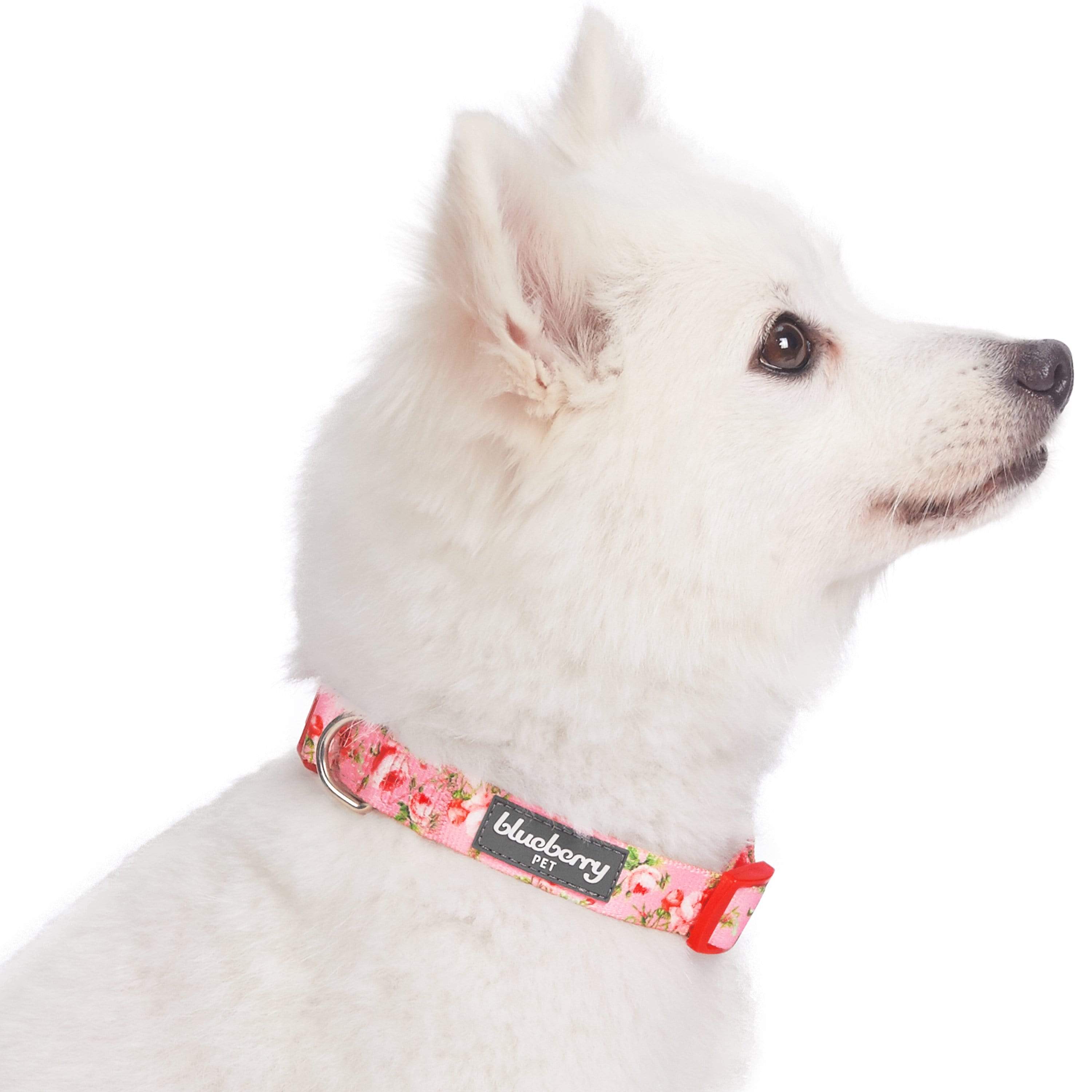 Blueberry Pet - Wholesale Halsband - Hond - Lichtgewicht verstelbare hondenhalsband met lente bloemenpatroon11