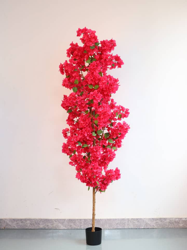 Z10773 Potted Bougainvillea Tree,7' for wholesale by Green Import Enterprises