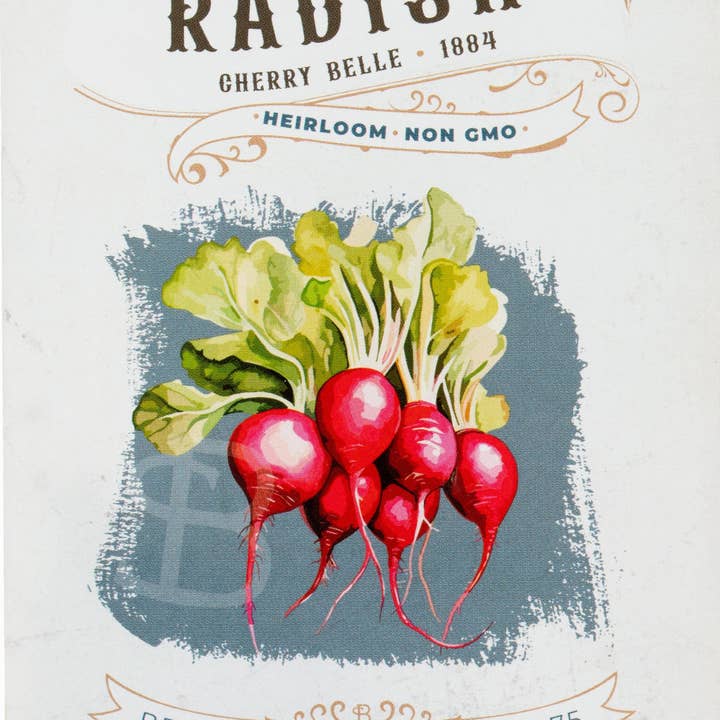 Bentley Seed Co. - Vente Graines de plantes - Radis-Cerise Belle 1884