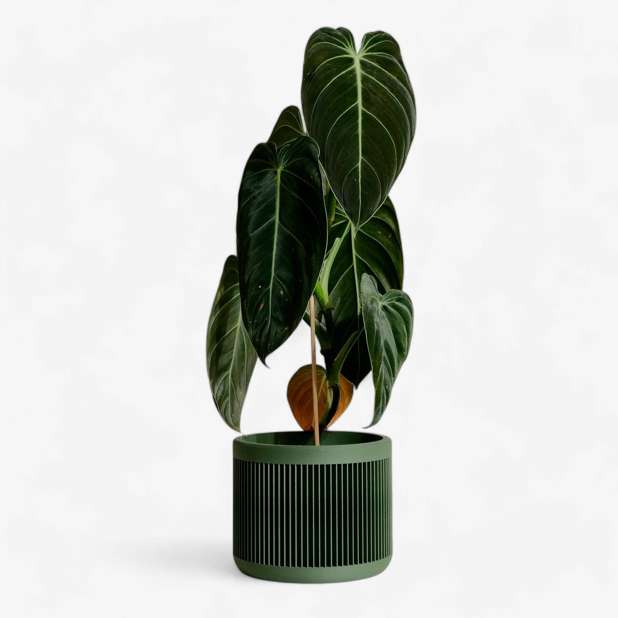 MINIMUM DESIGN - Wholesale Plant Pot - Indoor Plant House - Beige, Black, Green, Mist white, Terracotta - JAPAN15