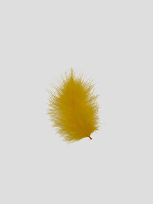 Marabou 12-15 cm Æggeblomme for engroshandel hos Enkels Feathers