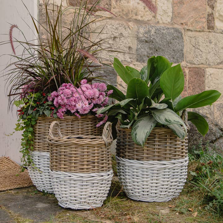 Bacon Basketware - Wholesale Plant Pot - S/3 ROUND WHITE DIPPED KUBU GREY PLANTER BASKETS