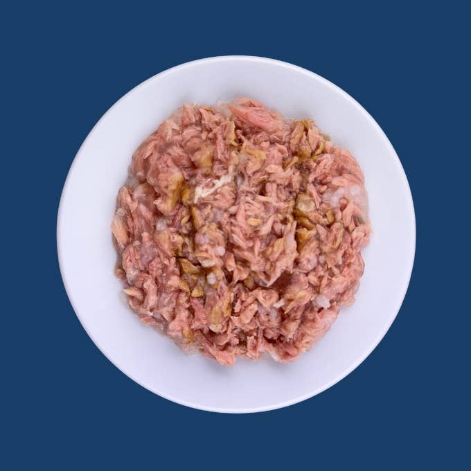 carnima - Wholesale Voer - Kat - Licht tonijnvlees met zalm in gelei voor katten1