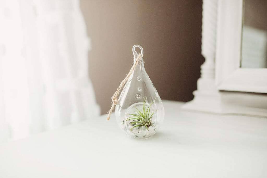 The Simply Crafty Shop - Wholesale Terrarium - Pear Shape Terrarium Kit- Semi-Precious Stone27