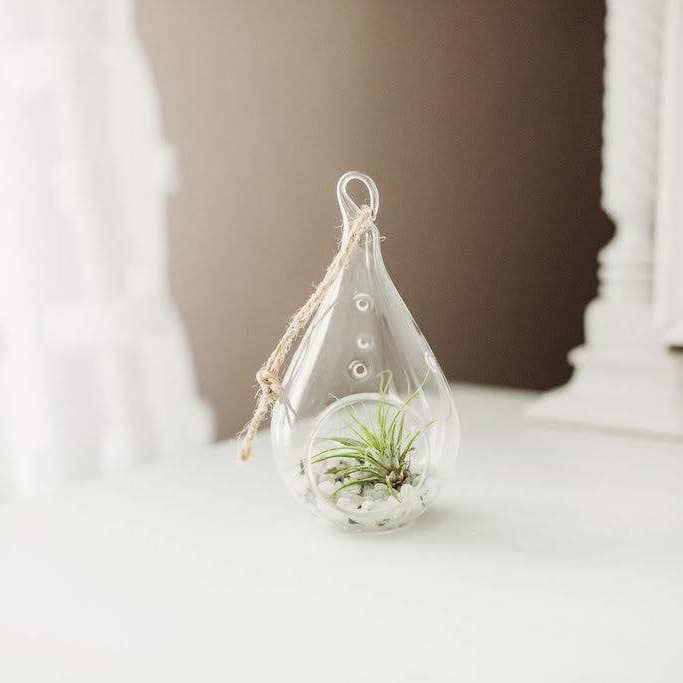 The Simply Crafty Shop - Wholesale Terrarium - Pear Shape Terrarium Kit- Semi-Precious Stone27