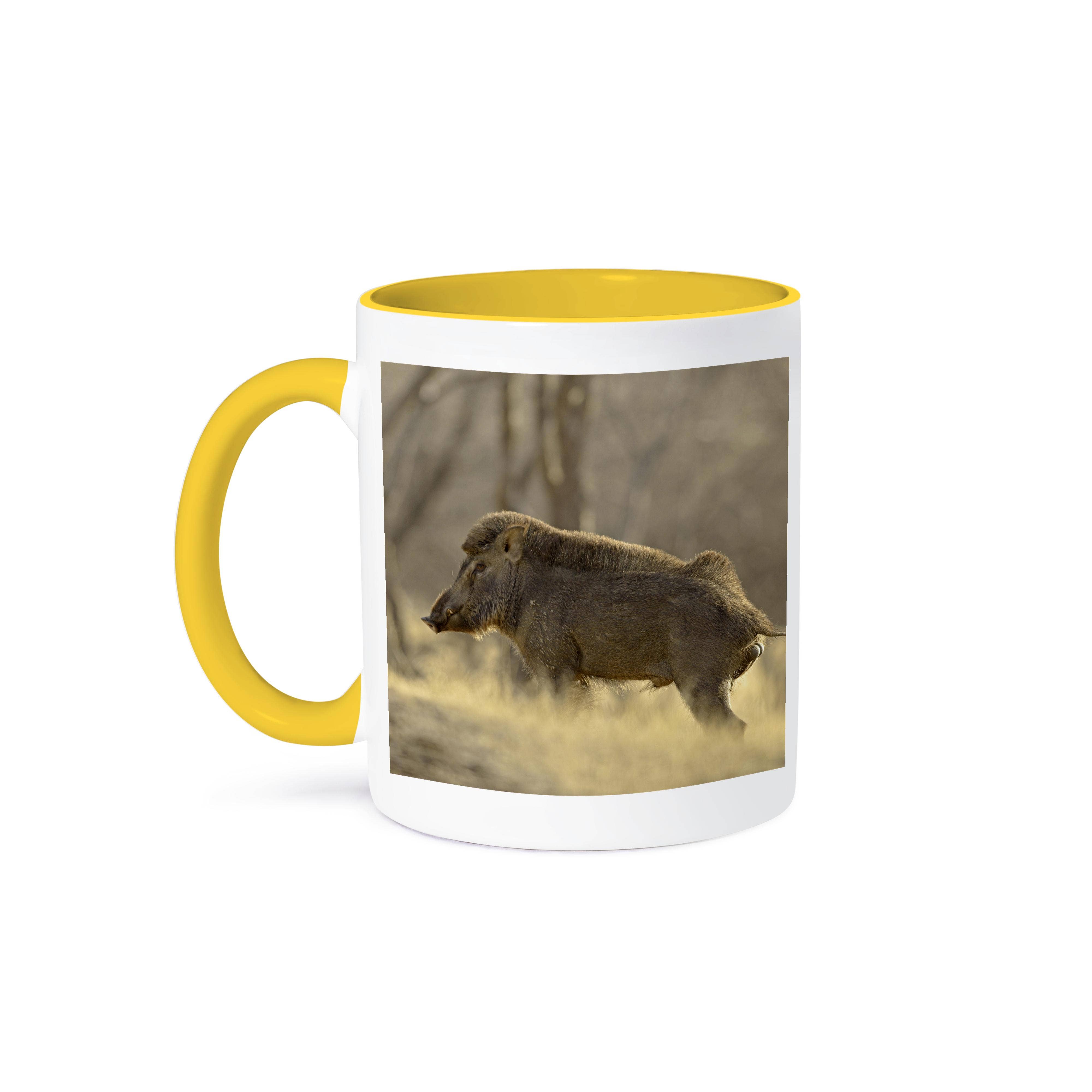 3dRose – wholesale Coffee mug – 3dRose, Wild Boar, Ranthambhor National Park, India-AS10 JRA0152 - Jagdeep Rajput, Mug0