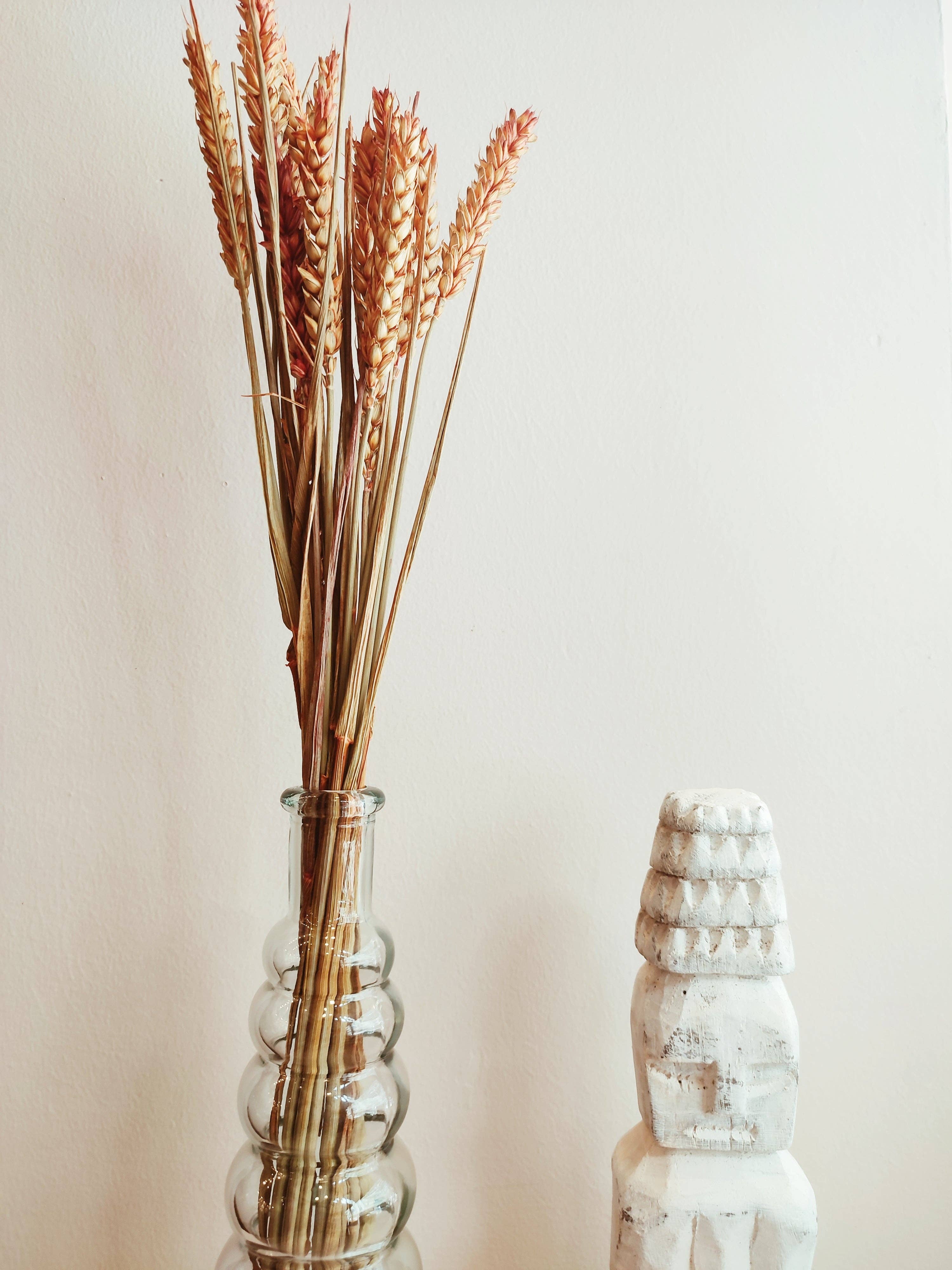 Uma Cantik – wholesale Dried/pressed flowers – Wheat Orange Dried Flowers1