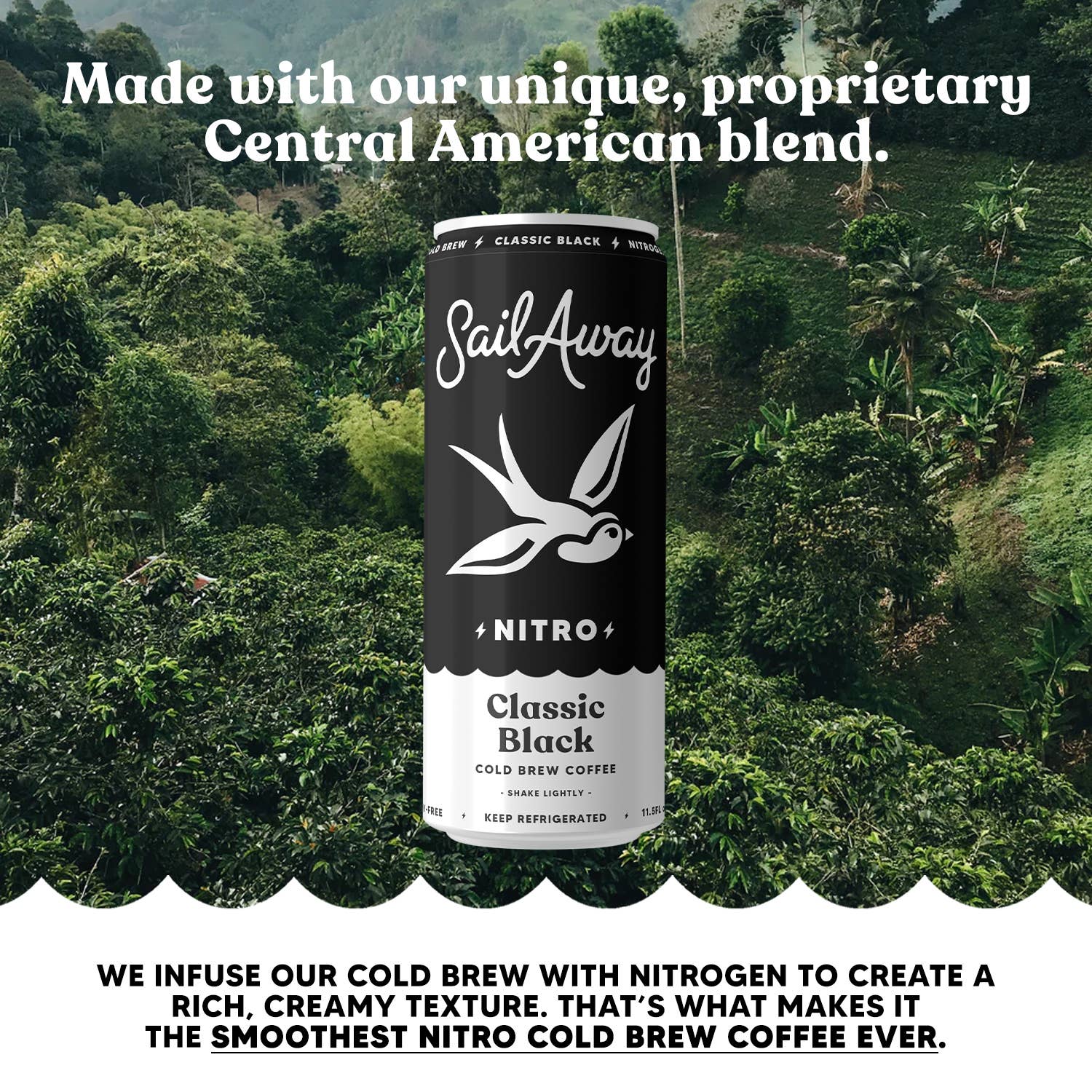 Sail Away Coffee Co. - Wholesale Iced Coffee/Cold Brew -  Cold Brew Coffee -Classic Black3