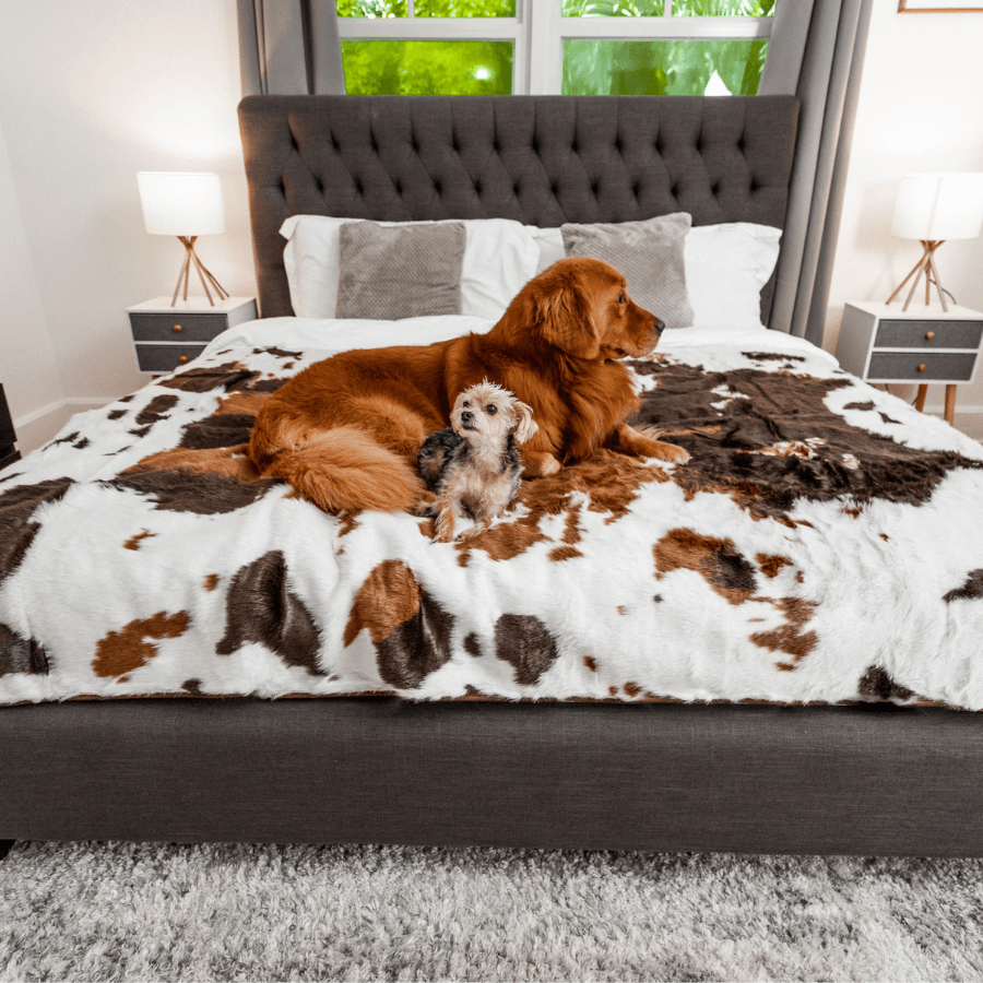 Paw Brands - Wholesale Pet Blanket - Dog - PupProtector™ Waterproof Throw Blanket - Brown Faux Cowhide8