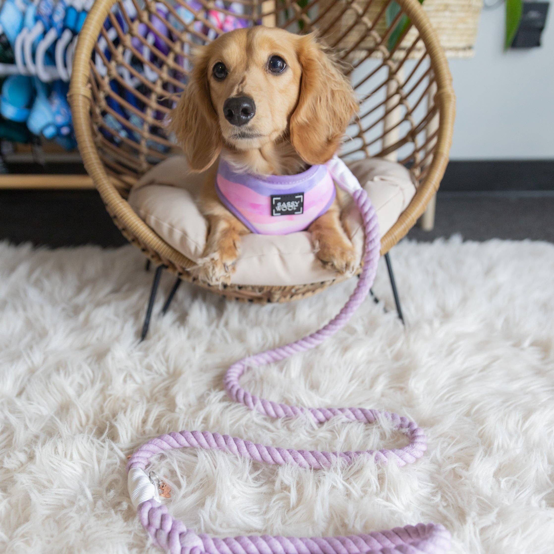 SASSY WOOF - Wholesale Pet Leash - Dog - Dog Rope Leash - Lavender4