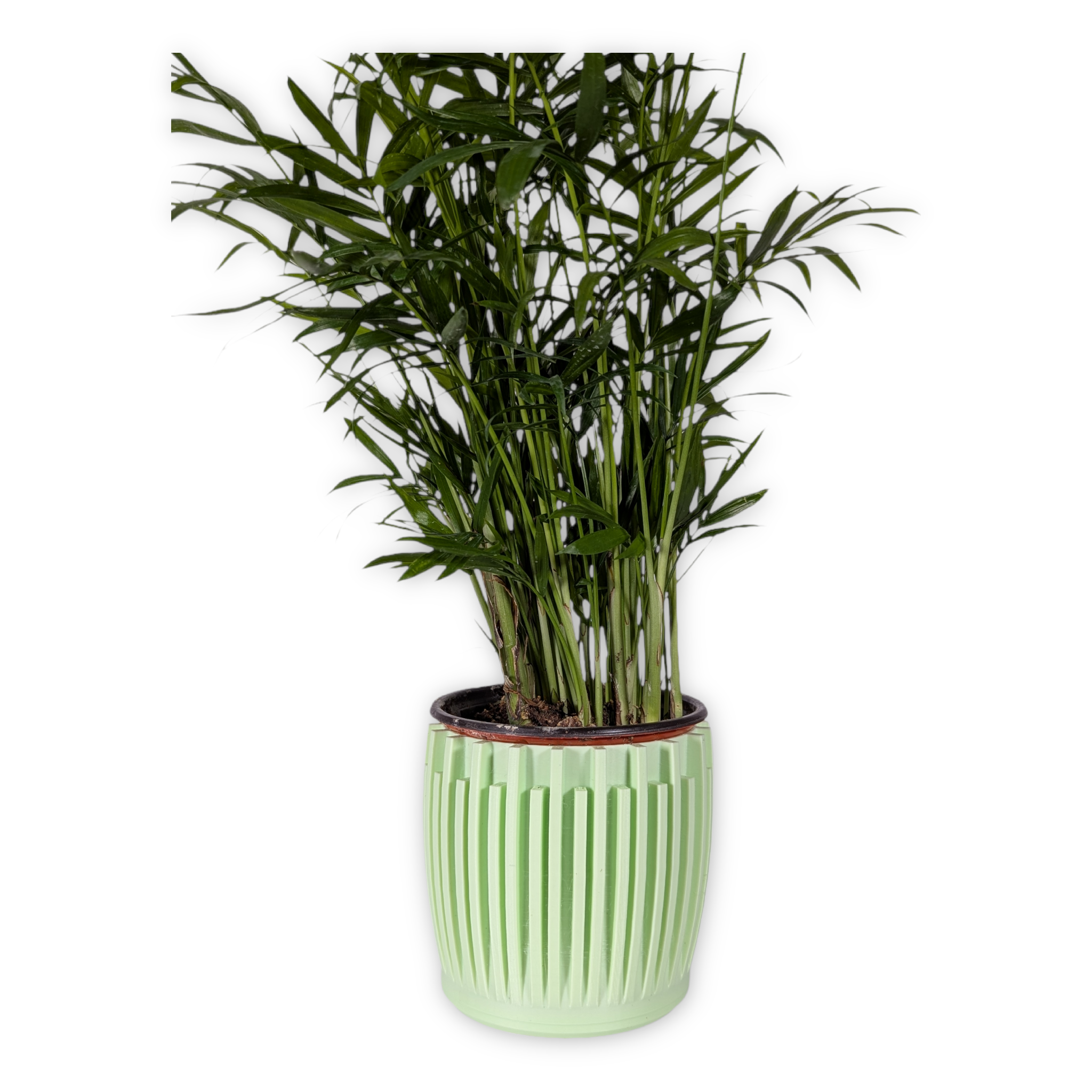 Leafprints.3d - Wholesale Plant Pot - The Leaf – 3 Inch Cover Pot (No Drainage)2