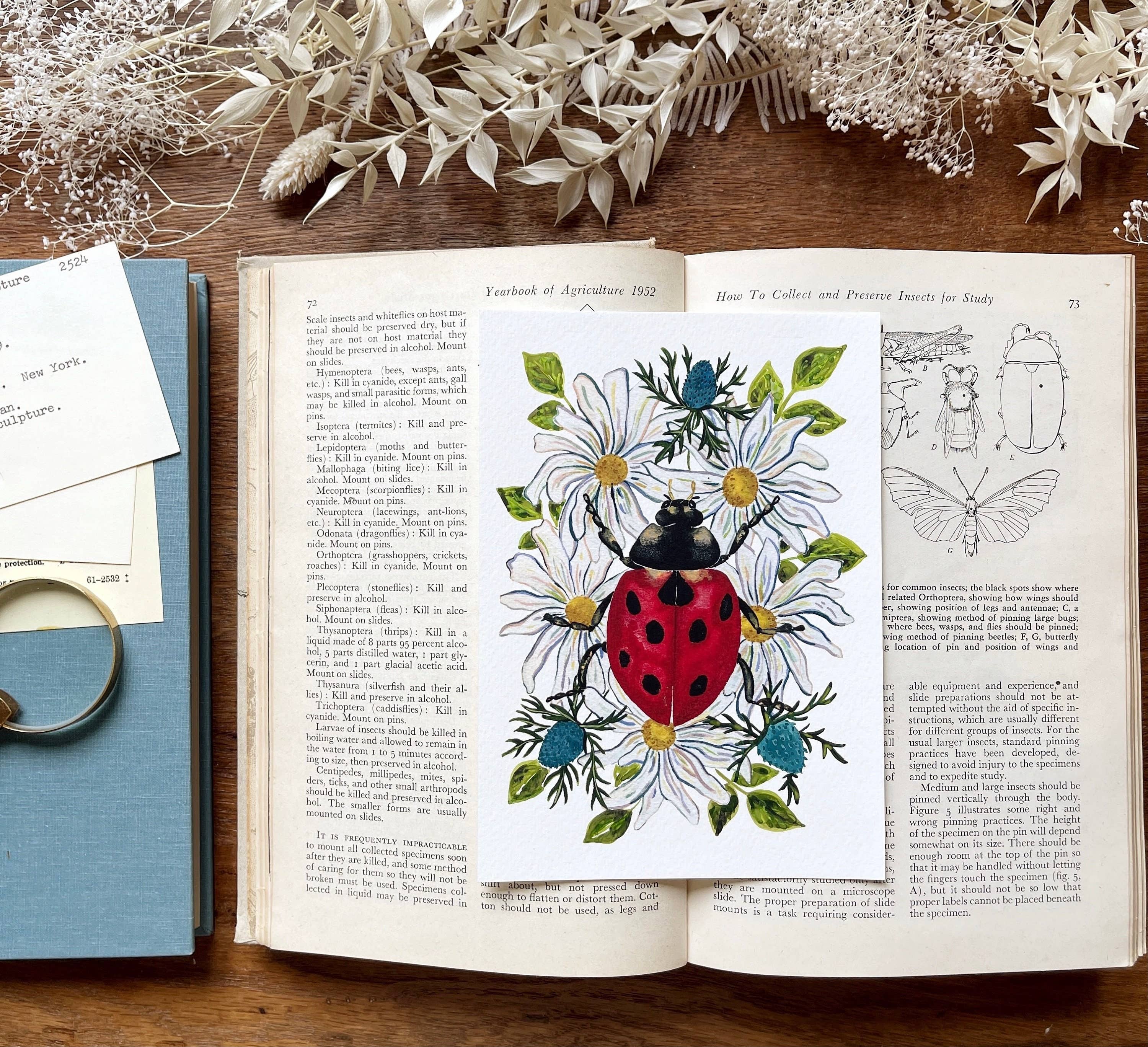 Candace Fincher – wholesale Konsttryck – Nyckelpiga Utskrifter För Dekor Eller Phi Mu Gift4