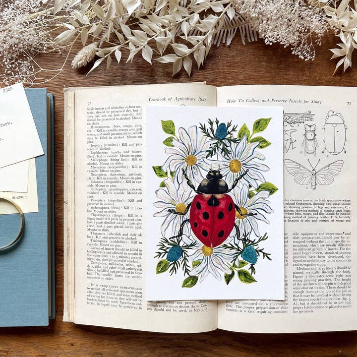 Candace Fincher – Großhandel Kunstdruck – Marienkäfer-Drucke als Dekoration oder als Geschenk für Phi Mu4