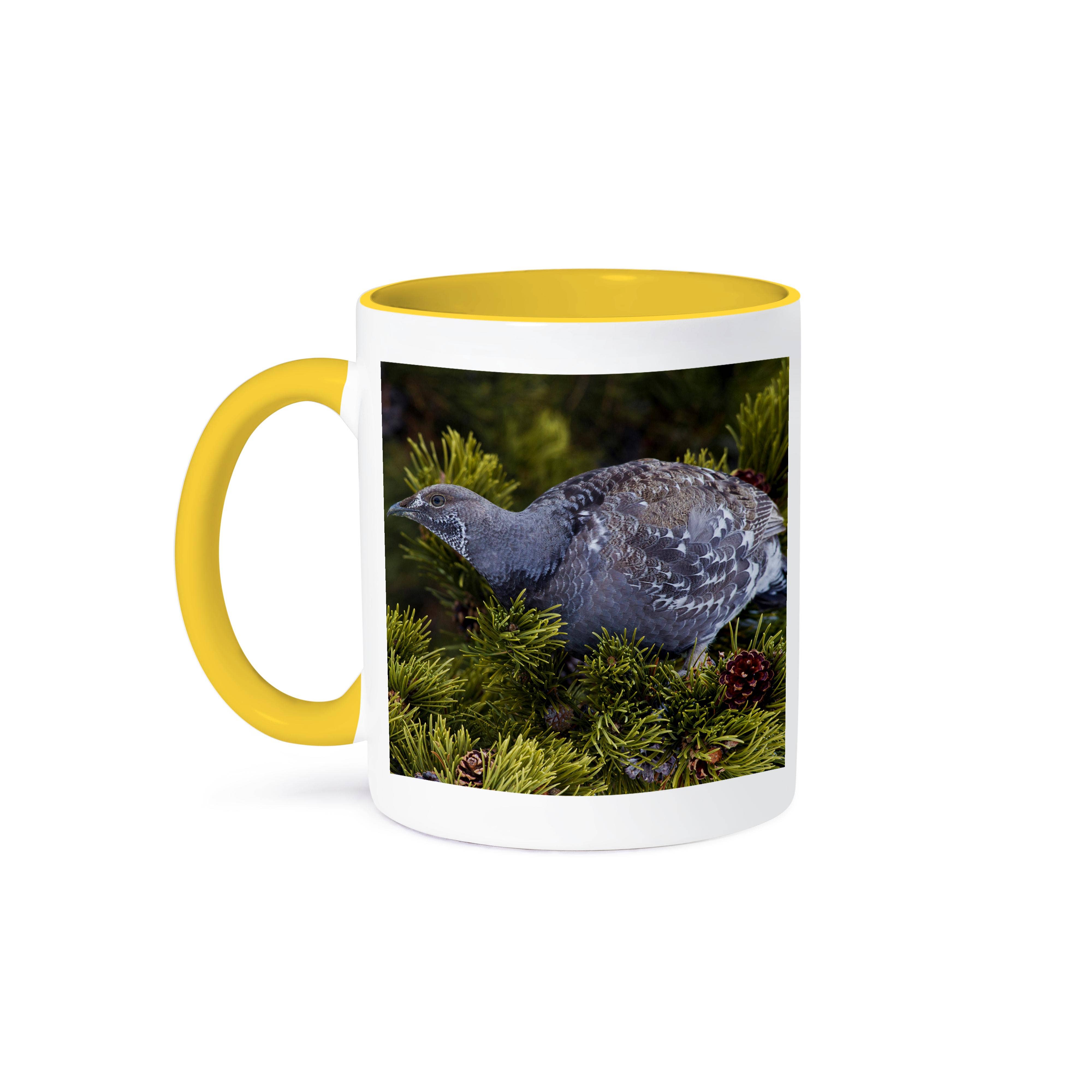 3dRose - Wholesale Coffee Mug - 3dRose, Dusky Grouse, Mug0