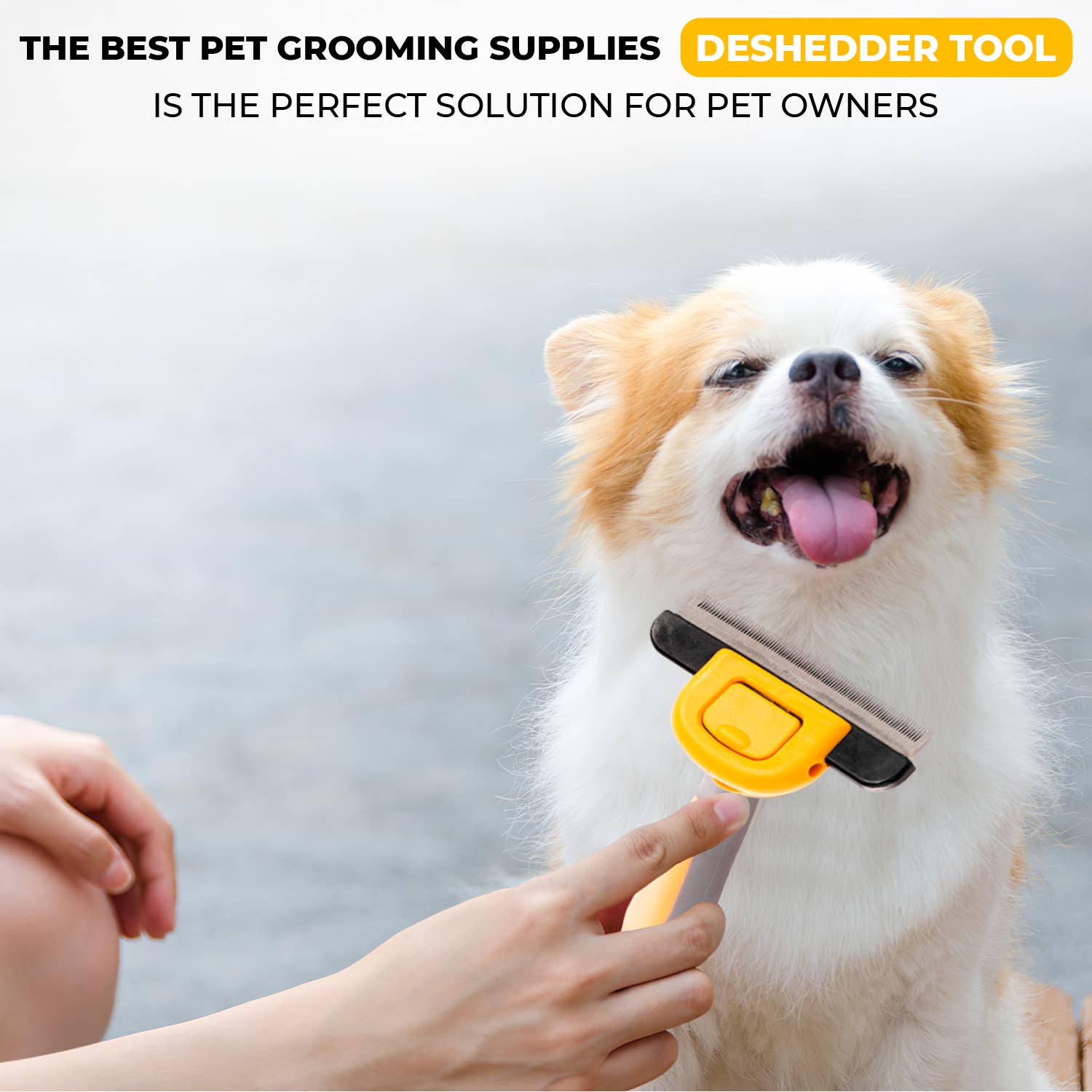 Precious Tails - Wholesale Pet Grooming Tool - Dog - Precious Tails Deshedder Tool7