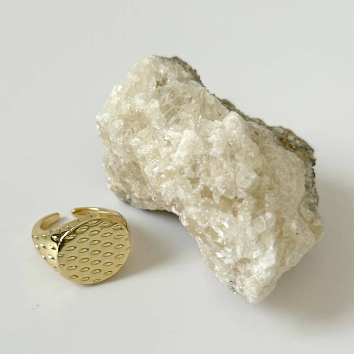 Tramps+Thieves - Wholesale Signet Ring - Scales Signet Ring0